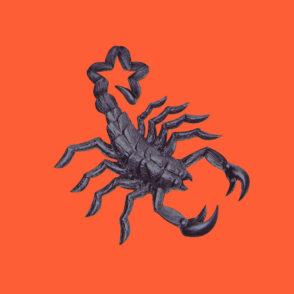 Scorpion Artwork